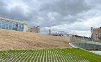Фотофакт: В Якутске начали сажать новый газон