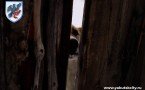 Вступил в силу закон, запрещающий установку сплошных заборов на дачных участках